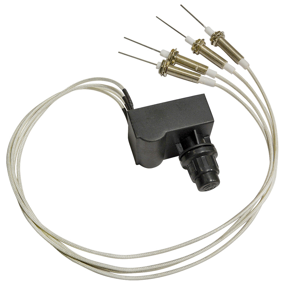 BBQ PIG COOKER IGNITER KT