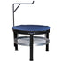 Discada Cookers & Outdoor Disc Grills – Carolina Cooker
